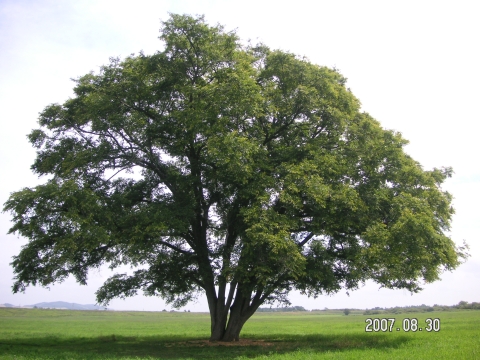 s_PICT0556.jpg